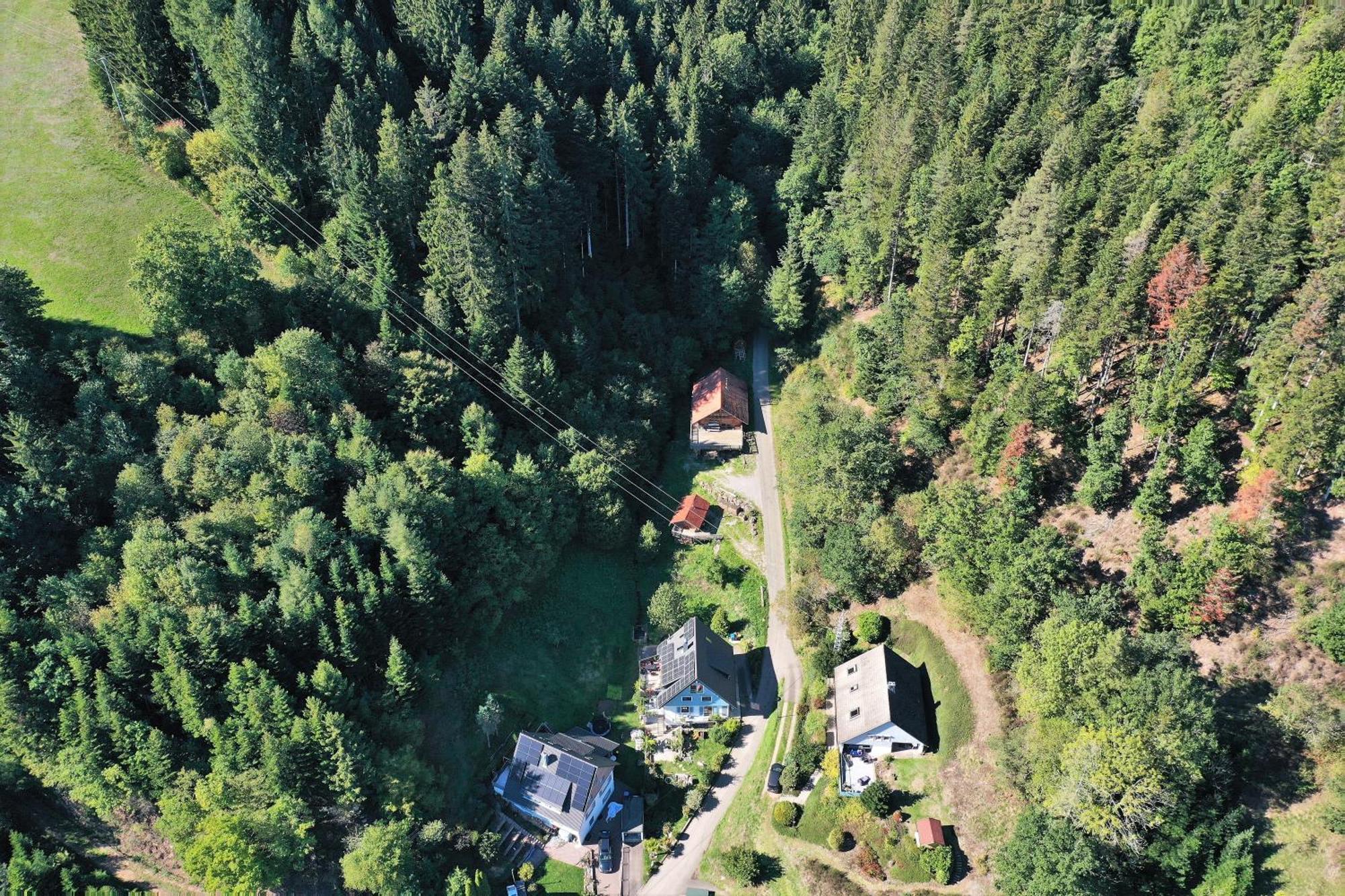 Schwarzwald Romantikhuette - Zweisamkeit - Mit Bettwaesche, Handtuecher Und Holz Schenkenzell Exterior foto